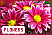  Flowers: 