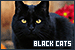  Cats: Black: 