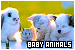  Baby Animals: 