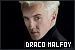  Harry Potter: Draco Malfoy: 