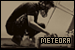  Linkin Park: Meteora: 