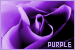  Purple: 